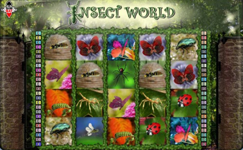 insect world