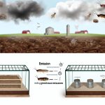 How insect farming reduces greenhouse gas emissions.